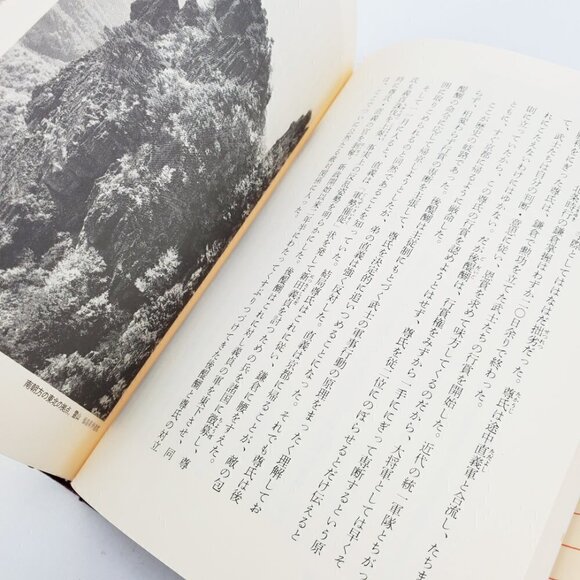 History of Birdman Japan Century Civil War & People Japanese Book Nagahara 1988 - Picture 7 of 12